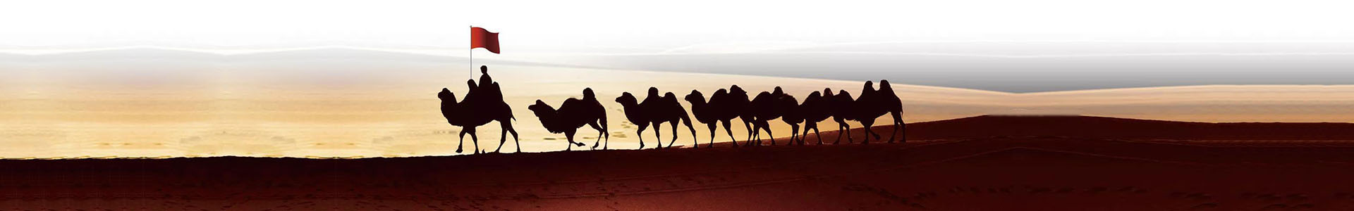 关于PP电子集团官网