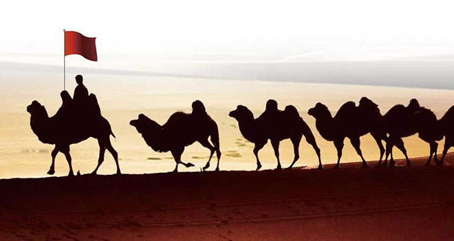 关于PP电子集团官网